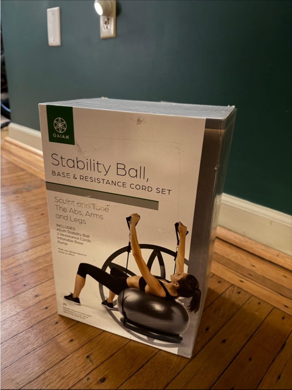 GAIAM Stability Ball Base & Resistance Cord Set – Black